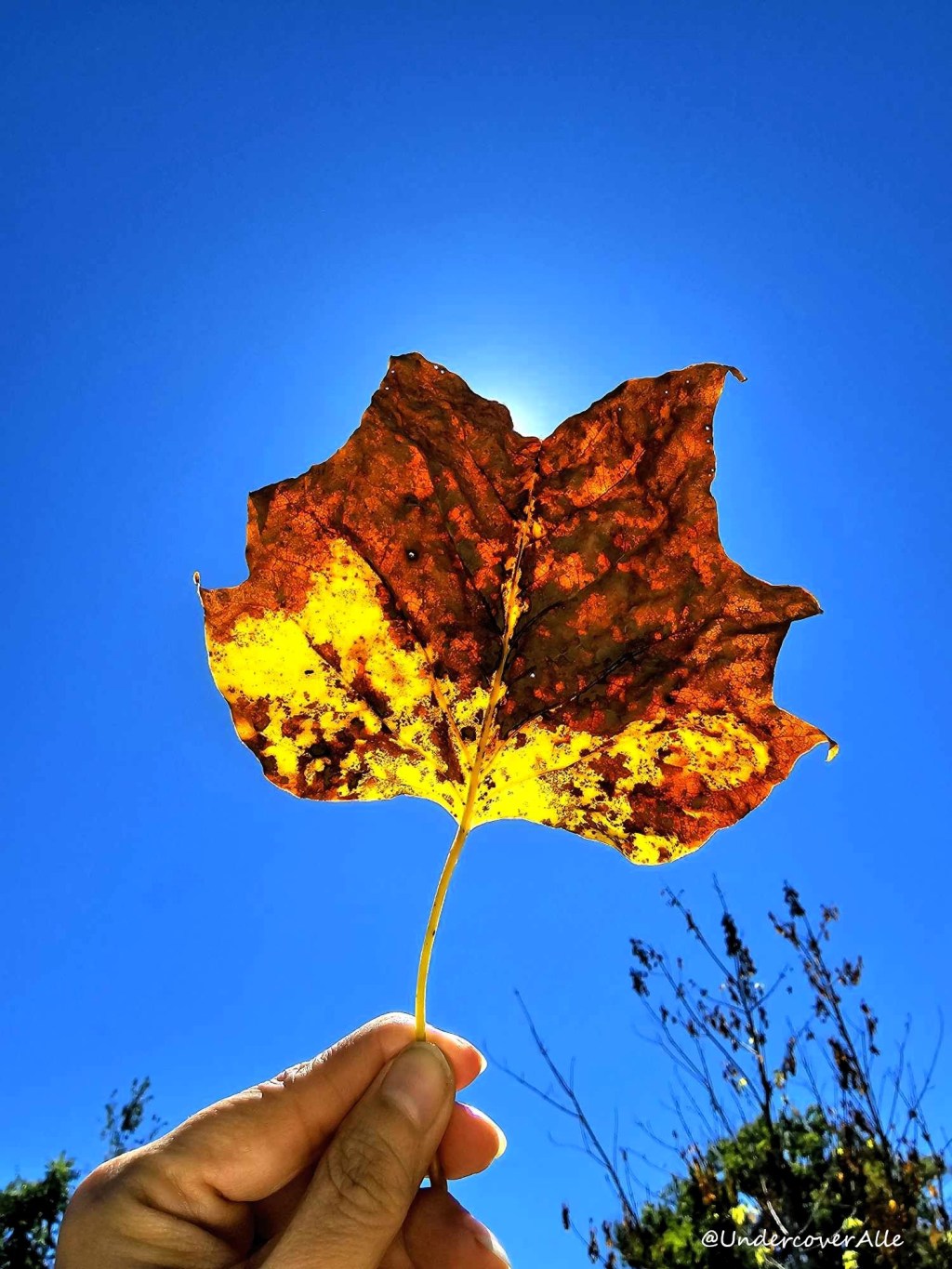 It’s not officially Autumn yet, but it’s close enough for&nbsp;me!